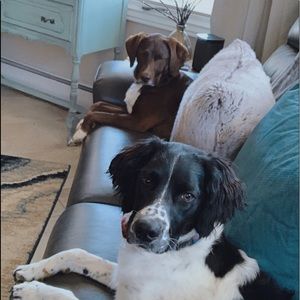 Meet your Posher, Jenny